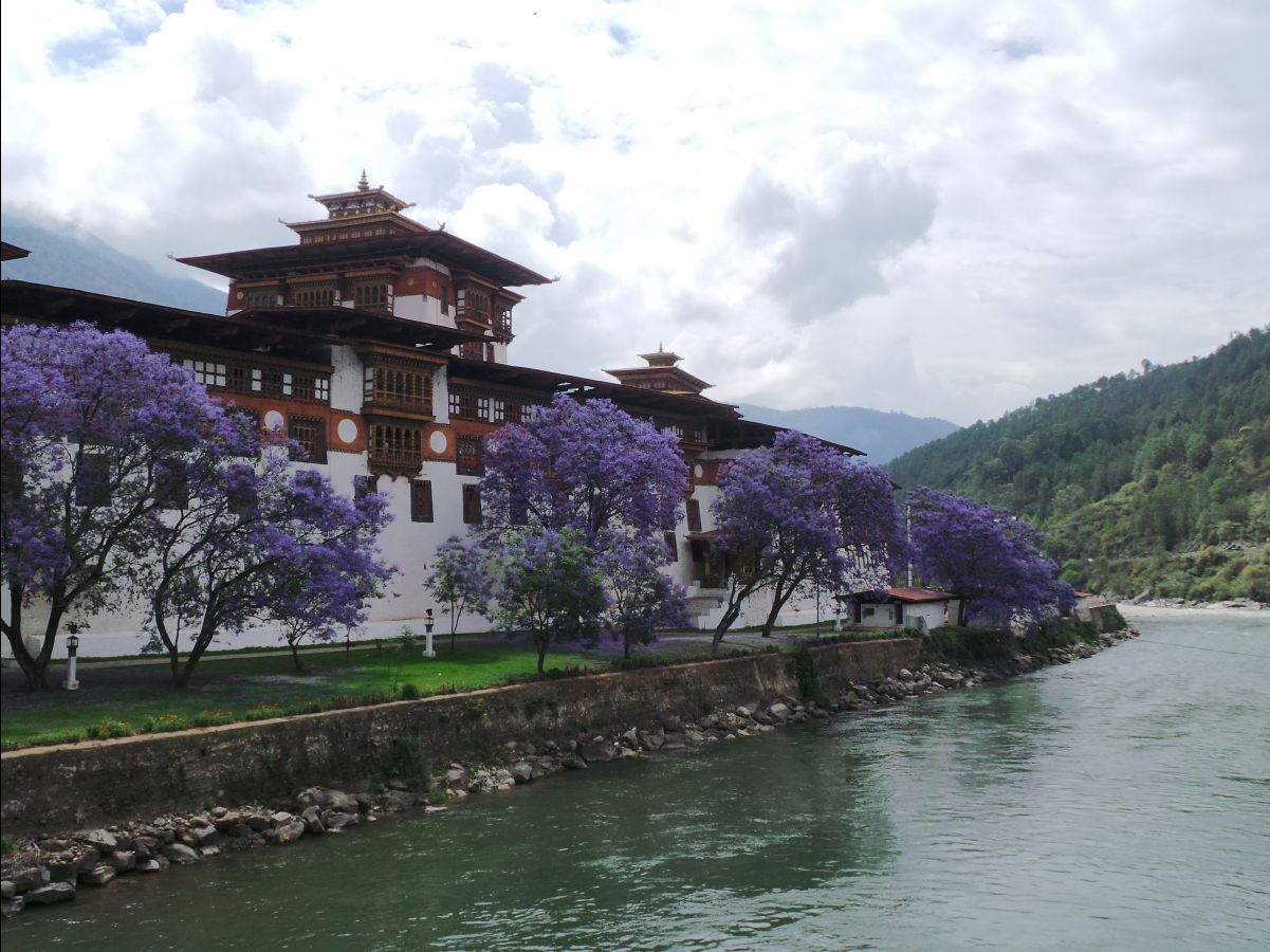 Punakha Dzong24